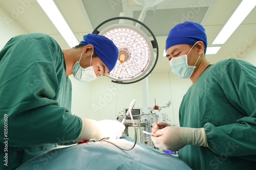 two veterinarian surgeons in operating room 
