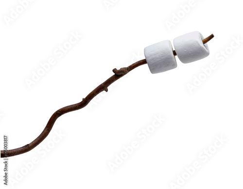 Marshmallow on a stick