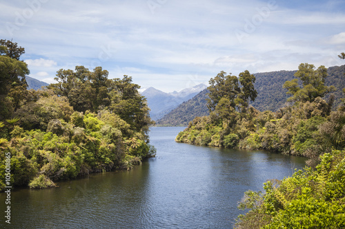 Fototapeta Naklejka Na Ścianę i Meble -  Landschaft an der Westküste der Südinsel Neuseeland