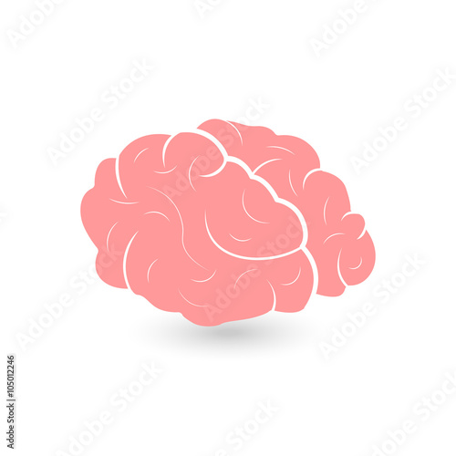 Vector illustration of brain designs