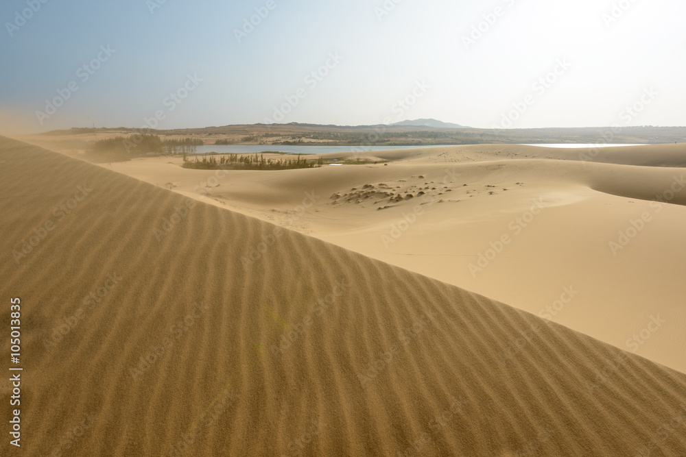 White sands Dunes in Vietnam, White desert background,Popular tourist attractions in South of Vietnam.