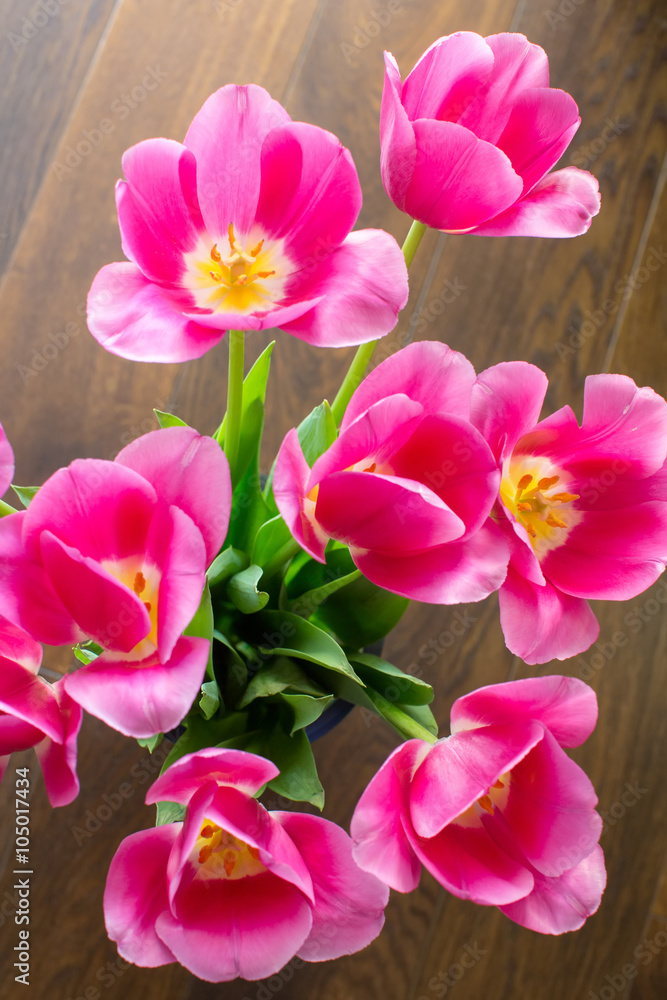 Obraz premium Mix of tulips flowers