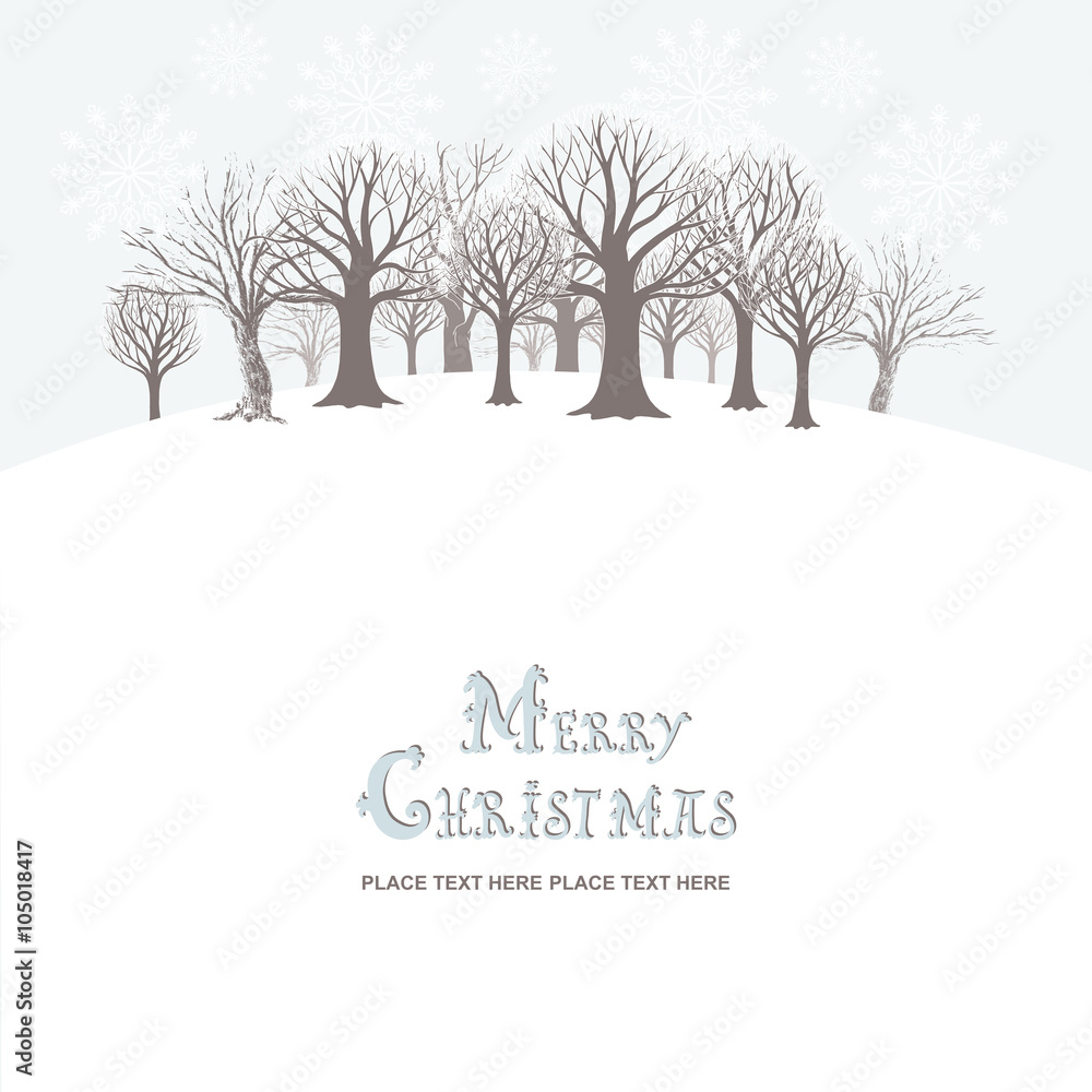 Obraz premium Christmas and New Year festive background, xmas greeting card 