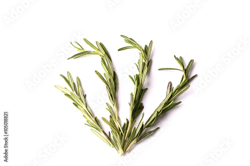 rosemary isolated on white background