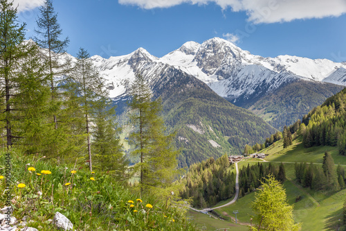 Almwiesen und schneebedeckte Berge