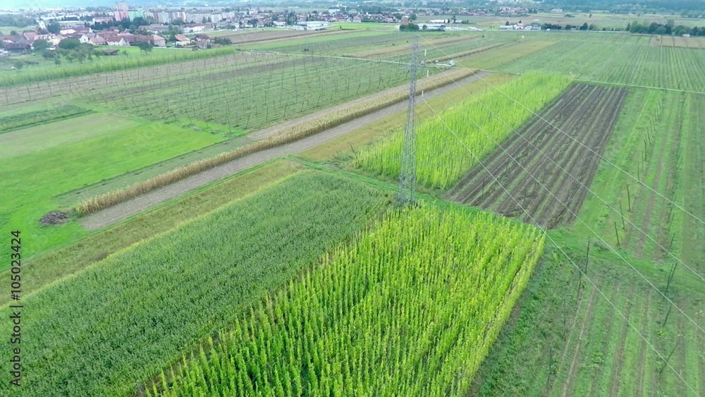 Beautiful fields in the summertime Beautiful fields in the summertime