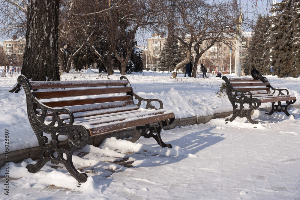 Benches in the park under the snow