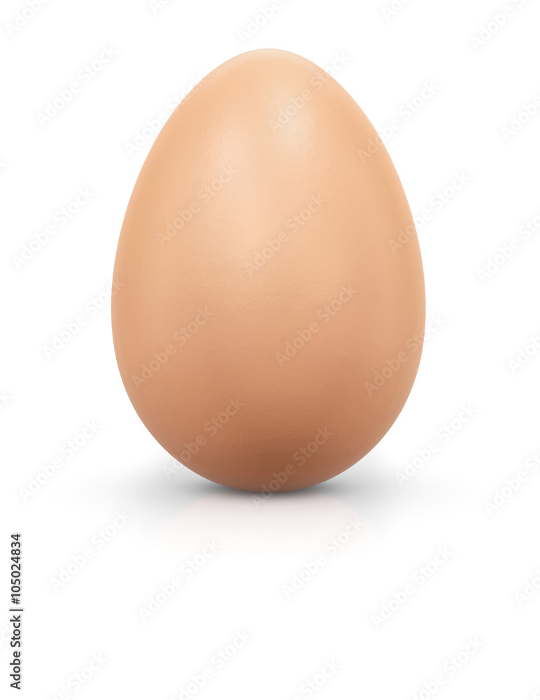 Brown egg Brown egg