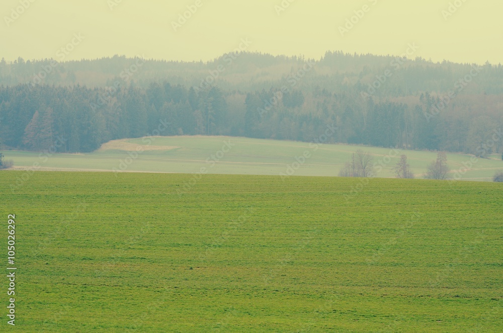 Wald und Wiesen