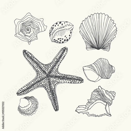 Hand- drawn shells. Set of seven