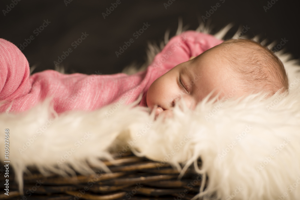 Baby in studio sesion Baby in studio sesion