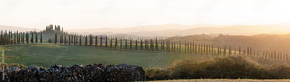 The landscape of Tuscany