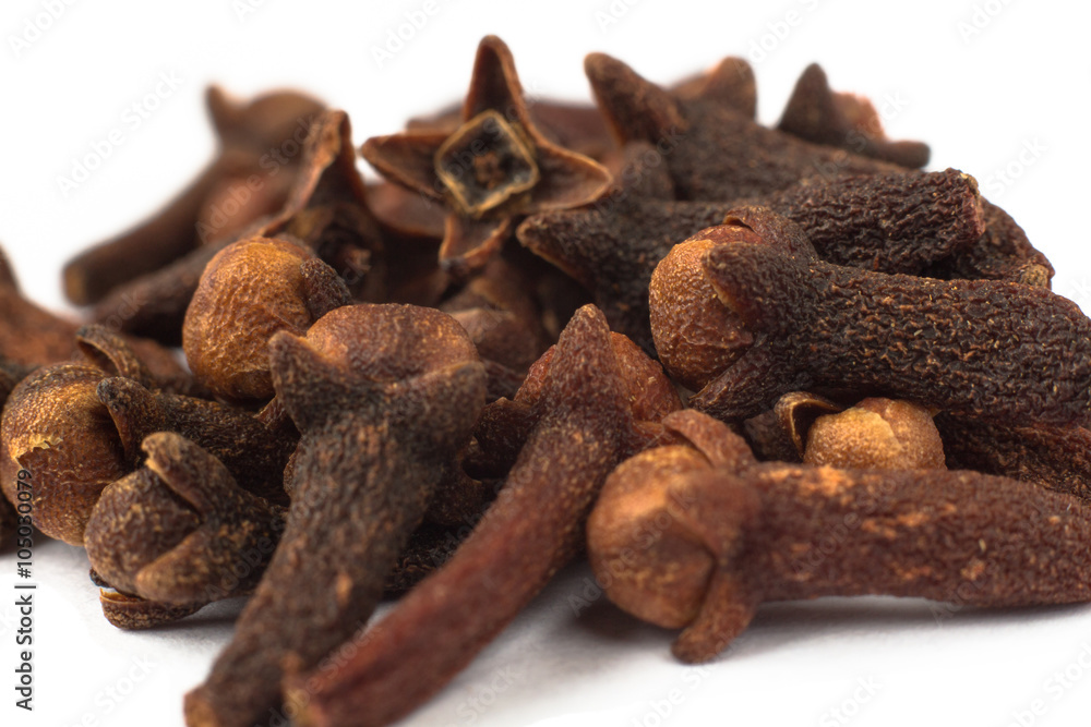 Obraz premium clove macro Syzygium aromaticum