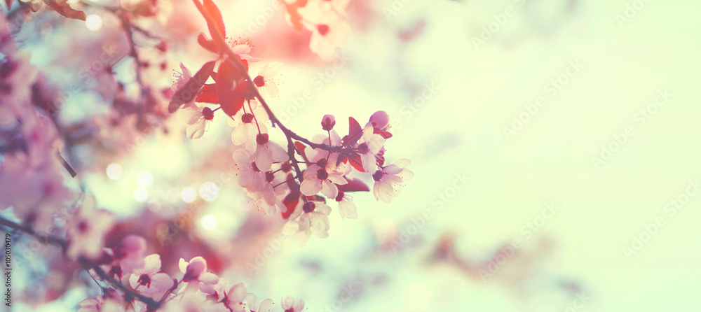 Naklejka premium Piękna wiosna natura scena z różowym kwitnącym drzewem