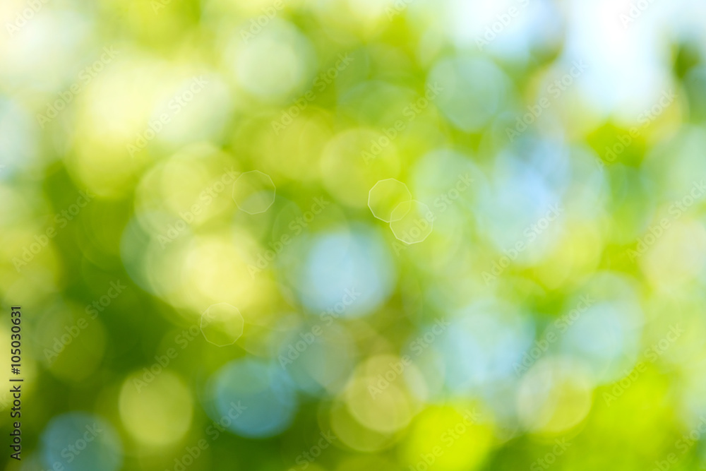 Beautiful nature blurred background. Green bokeh Beautiful nature blurred background. Green bokeh