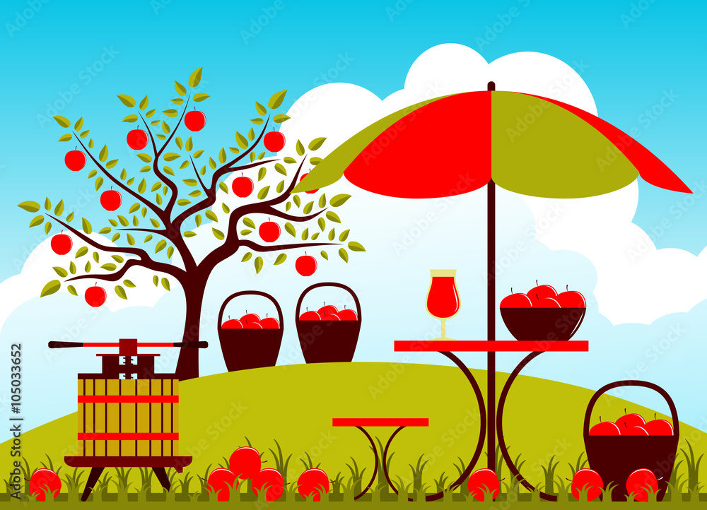 Fototapeta premium apple harvest