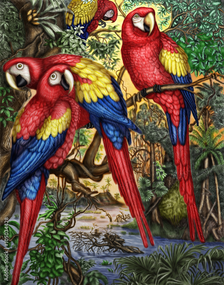 Fototapeta premium This is a Original digital painting of Scarlett Macaw Parrots.