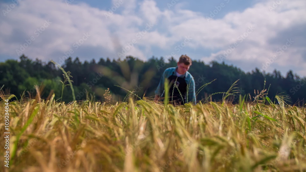 Farmer on wheat field on sunny day Farmer on wheat field on sunny day