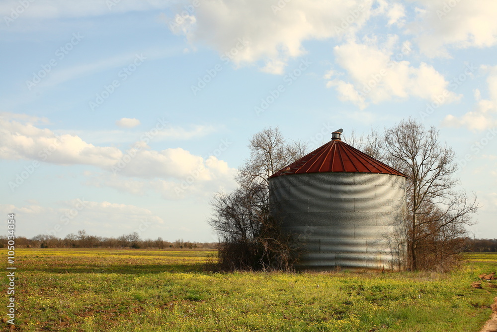 Silo Green Fields Flowers and Blue Sky