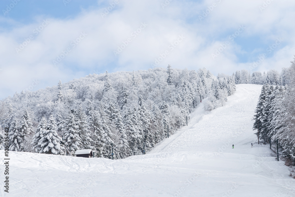 Obraz premium Piste de ski enneigée