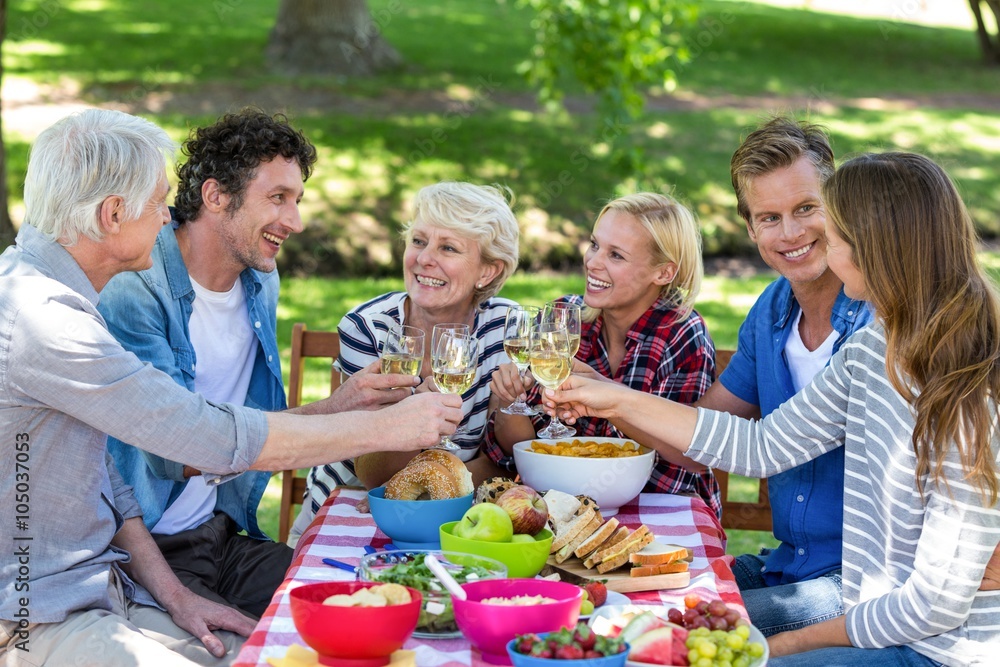 Friends having a picnic with wine Friends having a picnic with wine