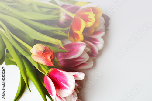 Fototapeta Naklejka Na Ścianę i Meble -  Bouquet of colored tulips
