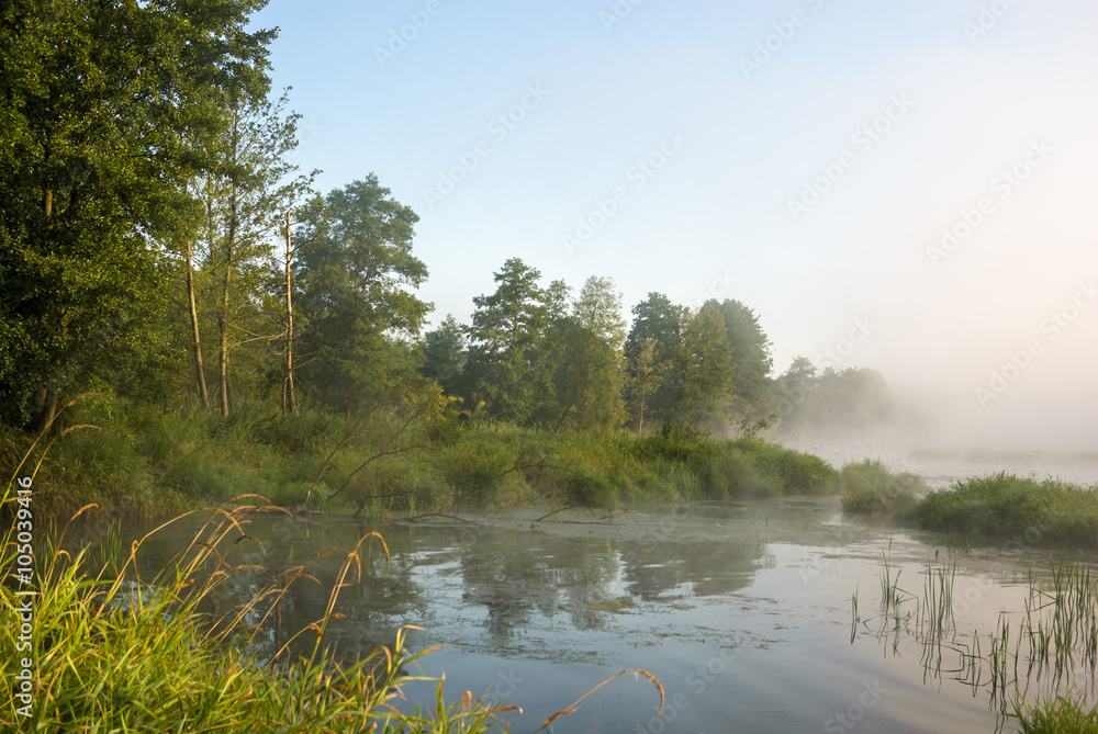 Fototapeta premium river