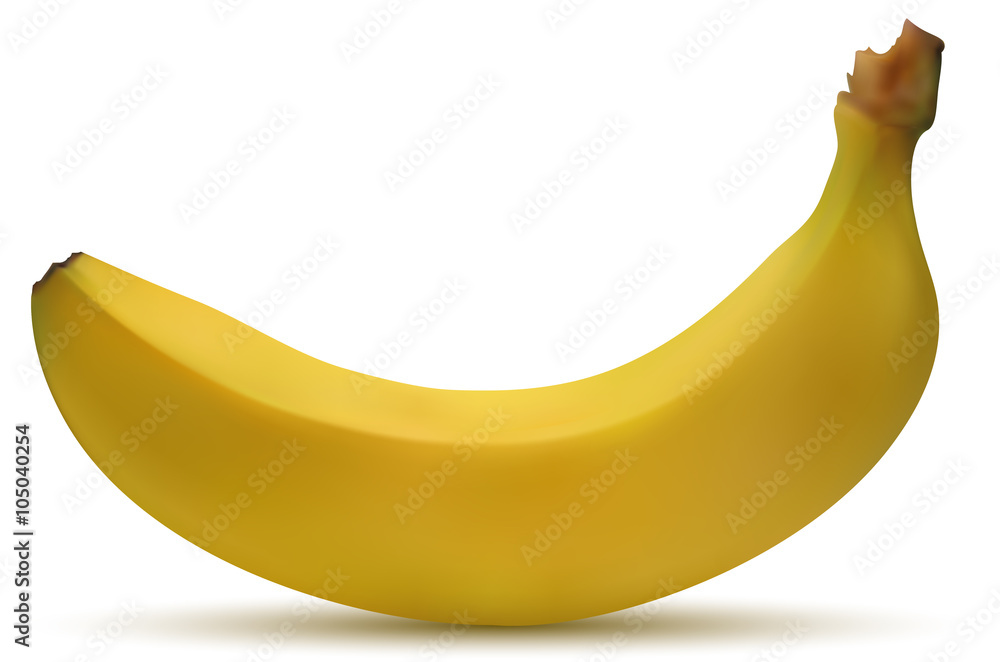 Frutta banana vettoriale realistica in primo piano con sfondo bianco