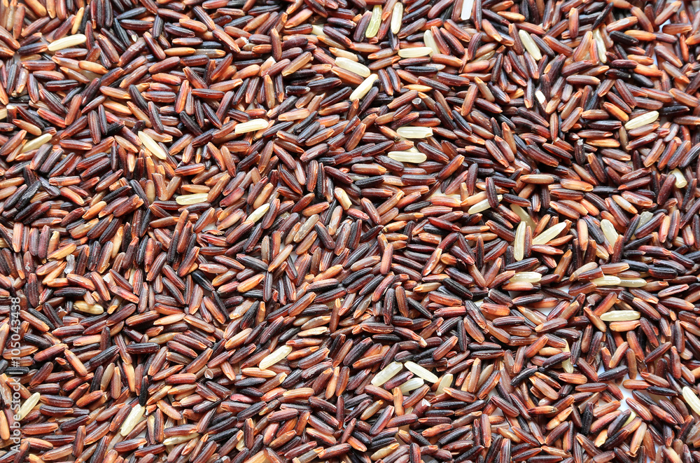 Cuisine food,background of uncooked wheat berries rice Cuisine food,background of uncooked wheat berries rice