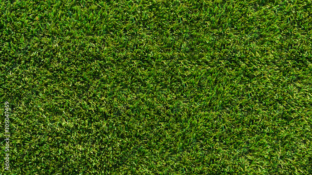 Obraz premium Artificial Grass Field Top View Texture.