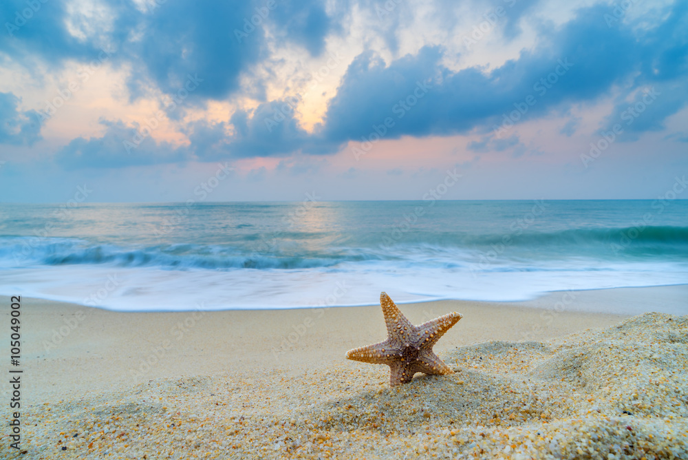 Fototapeta premium starfish on the beach at sunrise