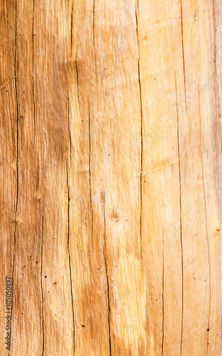 Texture of wood