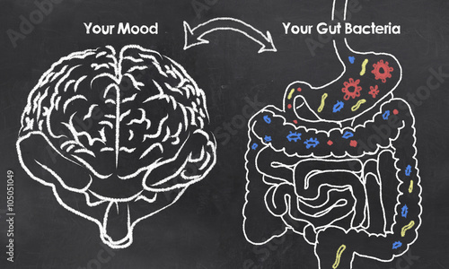 Mood and Gut Bacteria photo