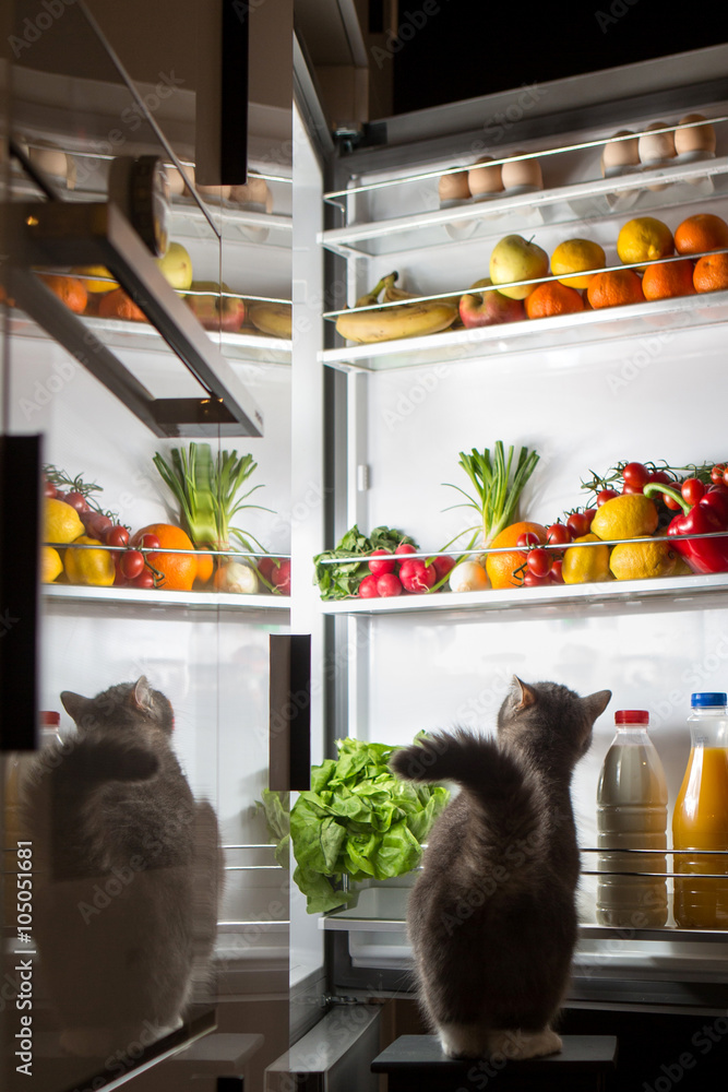 midnight snack, looking into fridge