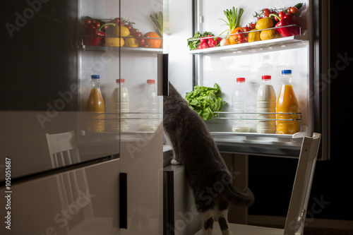 midnight snack, looking into fridge 