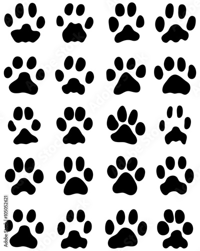 Black print of cats paws on white background  vector