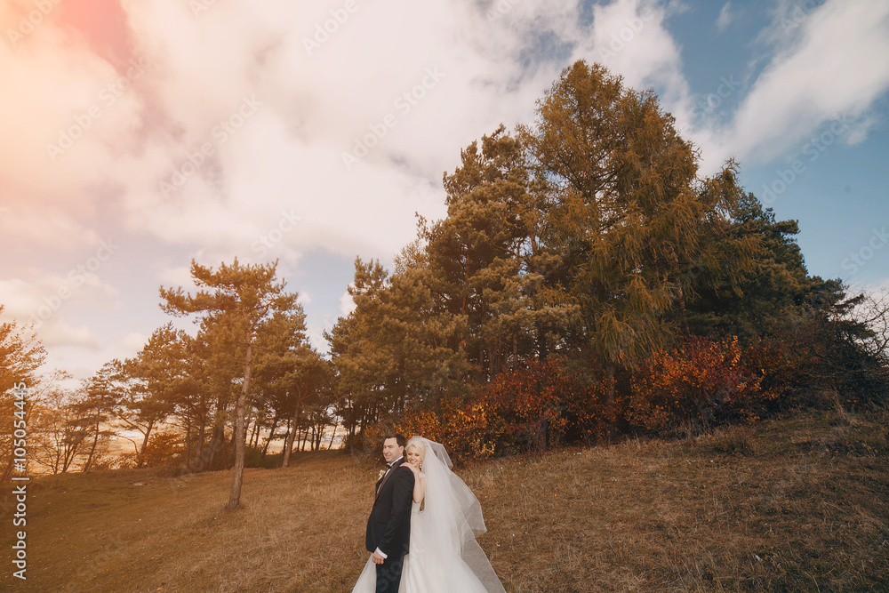 Fototapeta premium wedding day HD
