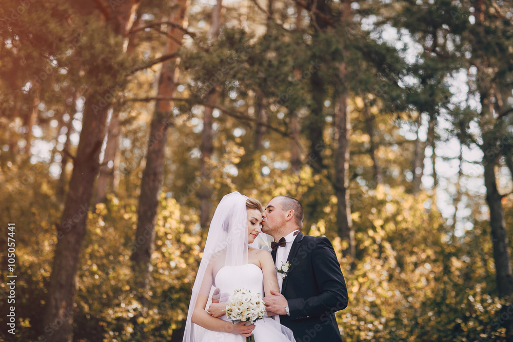 Fototapeta premium wedding day HD