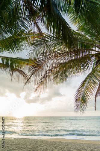 Fototapeta Naklejka Na Ścianę i Meble -  Tropical beach with coconut trees