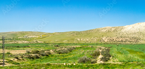 Fototapeta Naklejka Na Ścianę i Meble -  Negev Desert in early spring, Israel