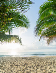 Crédence de cuisine Plage tropicale Lever de soleil sur la mer à Koh Samui  © Netfalls