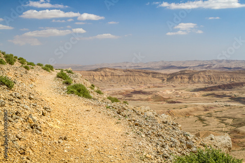 Negev desert in the early spring  Israel