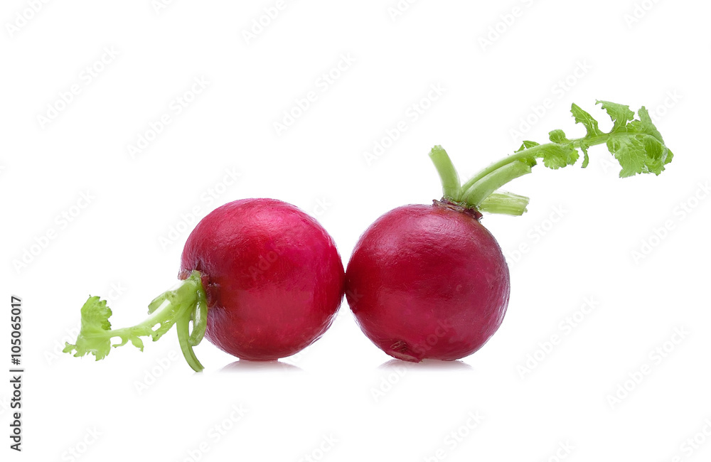 Small garden radish isolated on white background Small garden radish isolated on white background