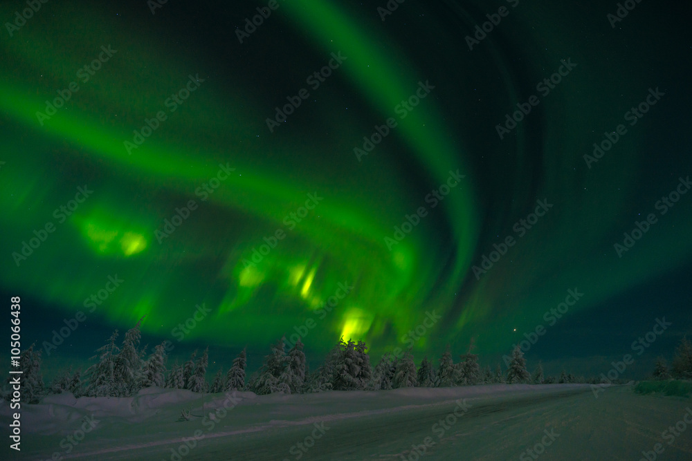 Winter night landscape with forest, road, snow and northern light over the scene 