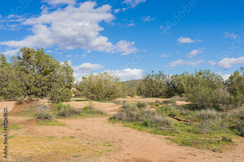 Sandy Path in Desert