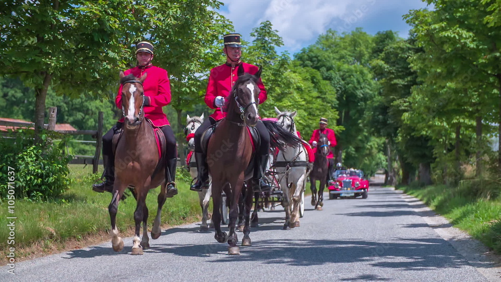 A carriage and a married couple driving on a country road A carriage and a married couple driving on a country road