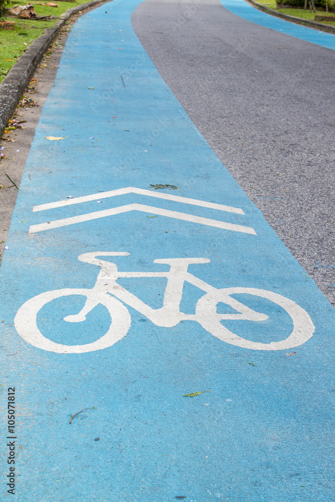 Obraz premium blue bike lane