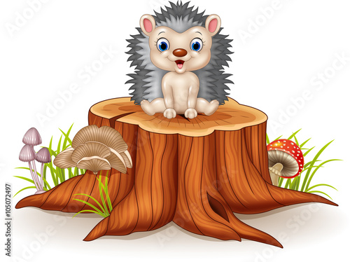 Cute baby hedgehog sitting on tree stump