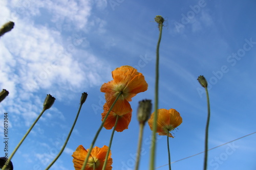 мне бы в небо