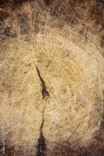 Close up of old wood texture background